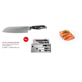 Lot de 3 couteaux Santoku (couteau des chefs japonais, très polyvalent) avec lame en inox, poignée en inox –coffret Ard’time