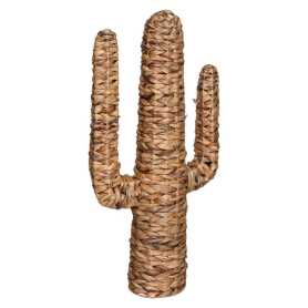 Cactus Grand Modèle Jacinthe