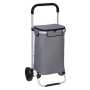 Chariot de marché 100% isotherme - 2 roues - Fixe - 50l - Gris